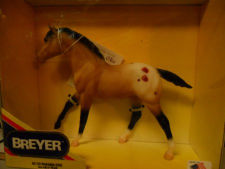 WAKANDA O'KIE  Appaloosa Foal